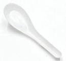 Soup Spoons  1000ct/Case