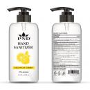PND HAND SANITIZER - 500 ml  16.9 oz